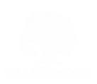 Логотип компании Silverwood