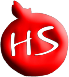 Логотип компании Hovik Studio
