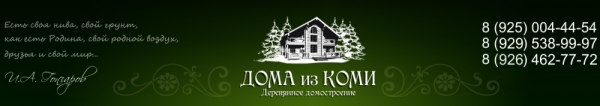 Логотип компании Дома из Коми