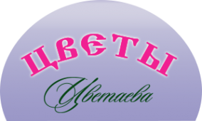 Логотип компании Цветаева